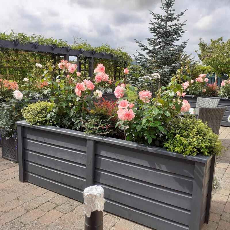 Deliverd to your door Dublin Planters