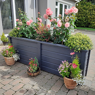 Dublin Planters Irelands number one in the Planters business