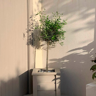 Dublin Planters Small Square Planter