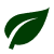 Dublin Planters leaf