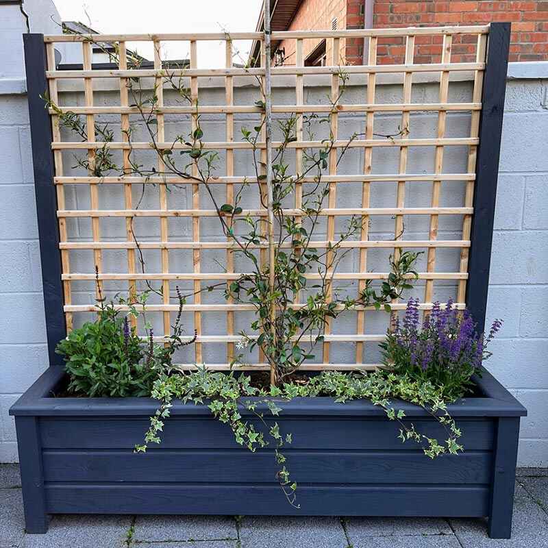Planter With Trellis